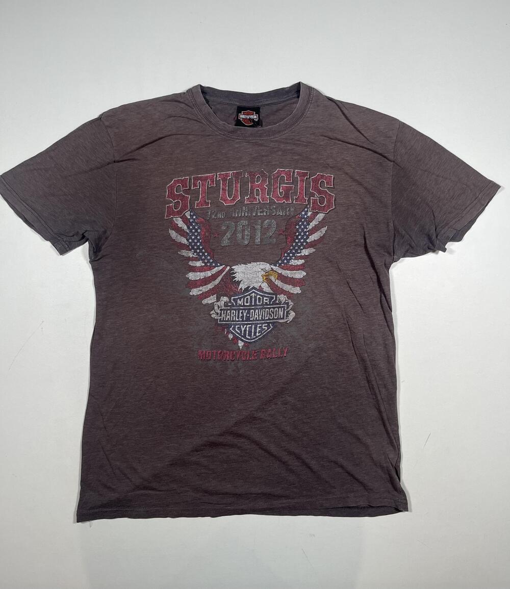 Harley-Davidson Sturgis Shirt Mens Brown 2012 Eagle Flag Graphic Tee Read